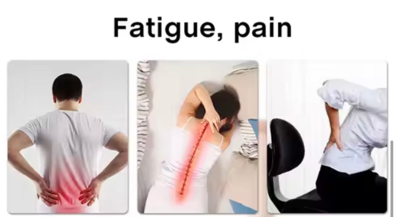 Back Stretcher Spine Board